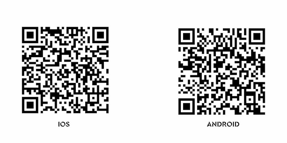 QR Code for Celebrity Fitness new mobile app download.